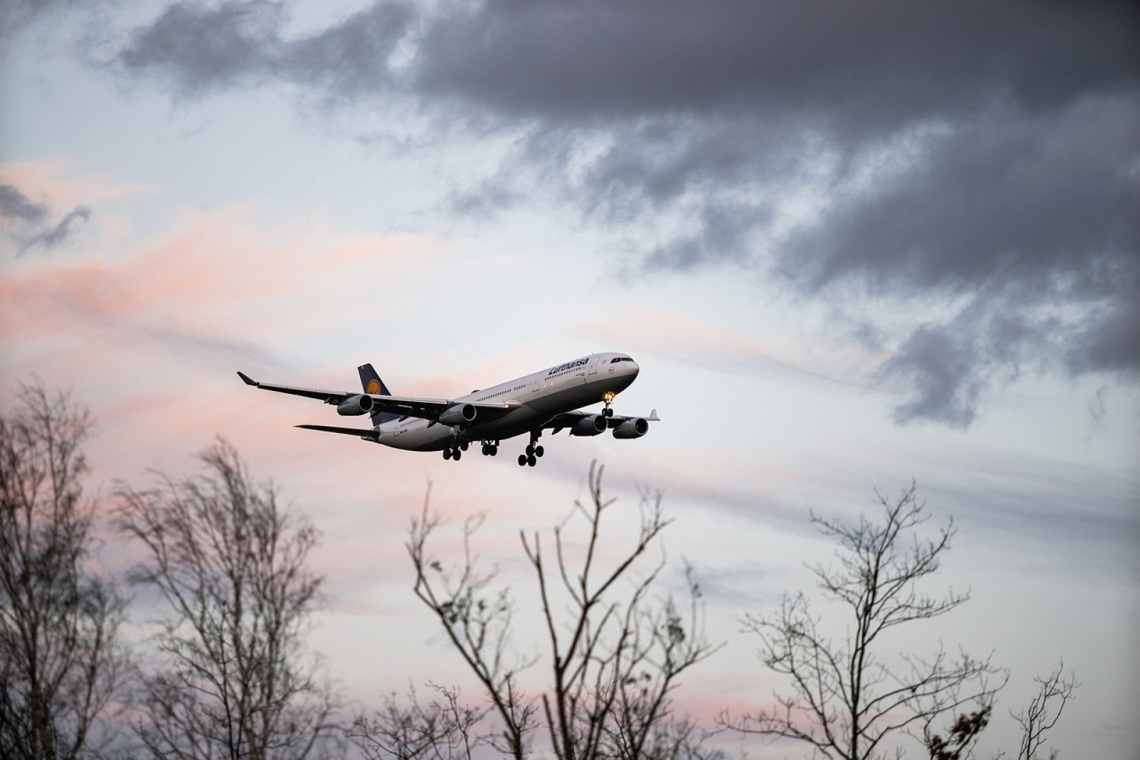 Topul celor mai punctuale companii aeriene și aeroporturi din lume