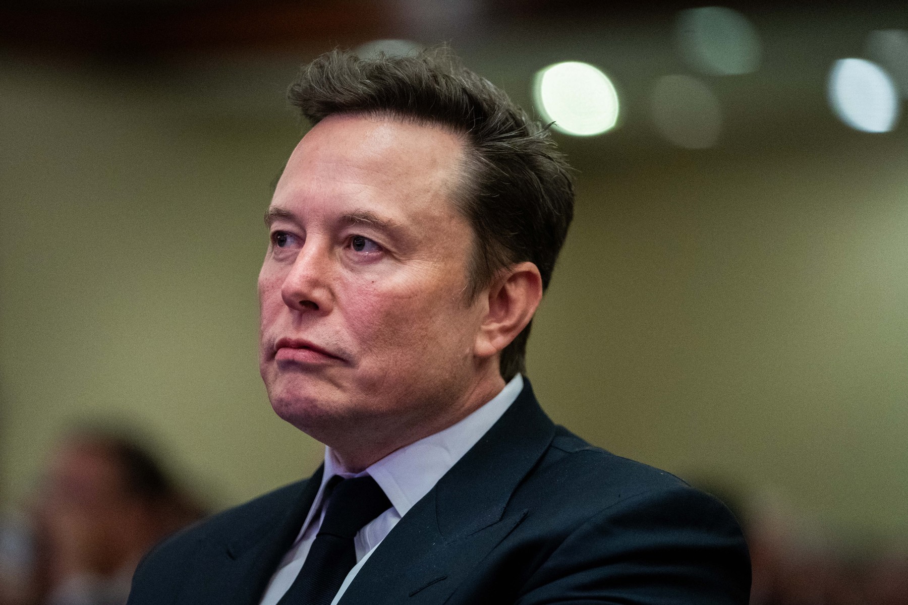 Privat: Elon Musk își arată sprijinul pentru extrema dreaptă în alegerile din Germania. Articolul scris de miliardar care a stârnit controverse